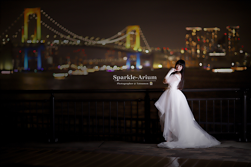 前撮り撮影事例1